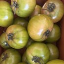 대저토마토산지유통센터 네이버블로그