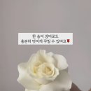 아베크플레르