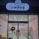 J애견미용 이미지