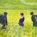 청맥 이미지