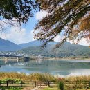 그림정원 이미지