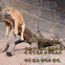 디짐(D:GYM) 네이버블로그
