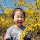 꿈내리어린이집 네이버블로그