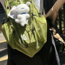 하이산 초경량 컴팩트 포켓백 V2 nylon 라임/블루베리 내돈내산 후기