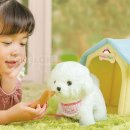 헬로멍멍 이미지