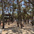통합안전관리센터 공중화장실 네이버블로그