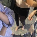 오드스테어