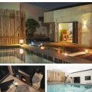 스테이레올 이미지