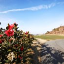 여수아일랜드 골프&리조트 골프장 이미지