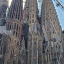 현지네 민박 이미지