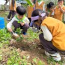 다송어린이집 이미지