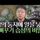 경진 간지는 뻐꾸기 입니다 이미지