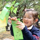 서강어린이공원 앞 이미지