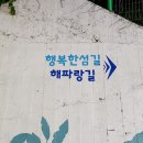 세븐일레븐 동해한섬해변점 이미지
