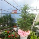 지례숯불갈비 이미지