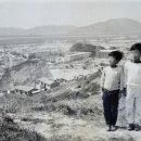 학장초등학교 이미지