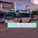 수원-1848 이미지