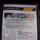 미용가1호점