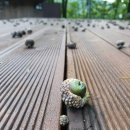 항골계곡 야영장 이미지