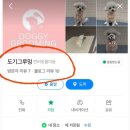 도기그루밍 이미지