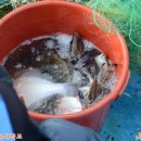 울진 구산어촌체험마을 이미지