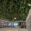 위례대로 | 위례스타필드 사보텐 아기랑 돈까스 먹은 후기