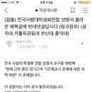 선생님들~ 적어도 우리가 부산대 사범대 학생회에 최소한의 사과라도 하는 게 맞지 않을까요? 이미지