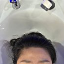 동물에반하다동물병원 | 덕천미용실 애견동반 가능한 반하다헤어 ! 클리닉 솔직후기