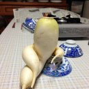 선우산장