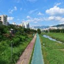 배롱나무길 이미지