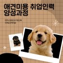 프로펫애견종합전문교육원 이미지