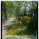 전평원 참한고기 이미지