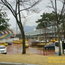 장군태권도장 이미지