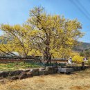 계척시목지 이미지