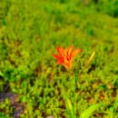 윤성공인중개사사무소 이미지