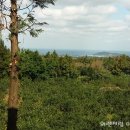 갤러리타운 이미지