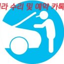 카데렐라 이미지