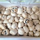 부여하늘농장 이미지