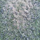 송정 풋살구장 이미지