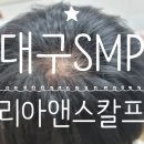 리아앤스칼프 이미지