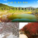 2019년3월 23일(토) ＜의성 "산수유 마을 "숲실길과 륵두산 임도길" 걷기＞ 이미지