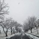 의료법인 동오의료재단 이미지