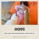 큐브 뽑기방 | 전주 고양이 카페 31개월 아이랑 묘해저택 솔직후기