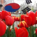 송파구청 - 송파구 송파대로37길 77 | 송파구청