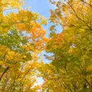 목동서로10길 이미지