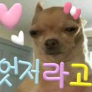 리온느 - 광진구 | 리온느