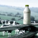 미래로목장 이미지