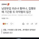 남양유업 외손녀 황하나, 집행유예 기간중 또 마약혐의 입건 이미지