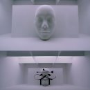 솔라 이미지