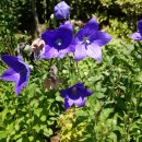 덕풍산장 이미지